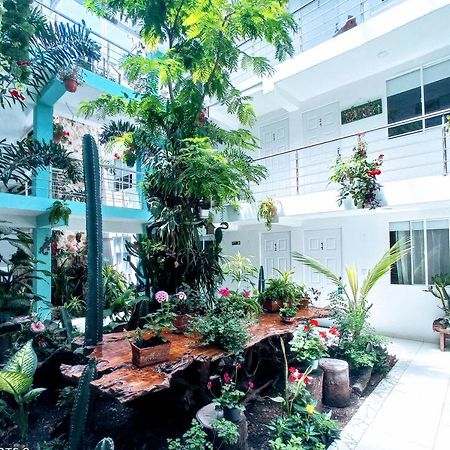 Hotel Boutique Los Remansos 帕尔米拉 外观 照片