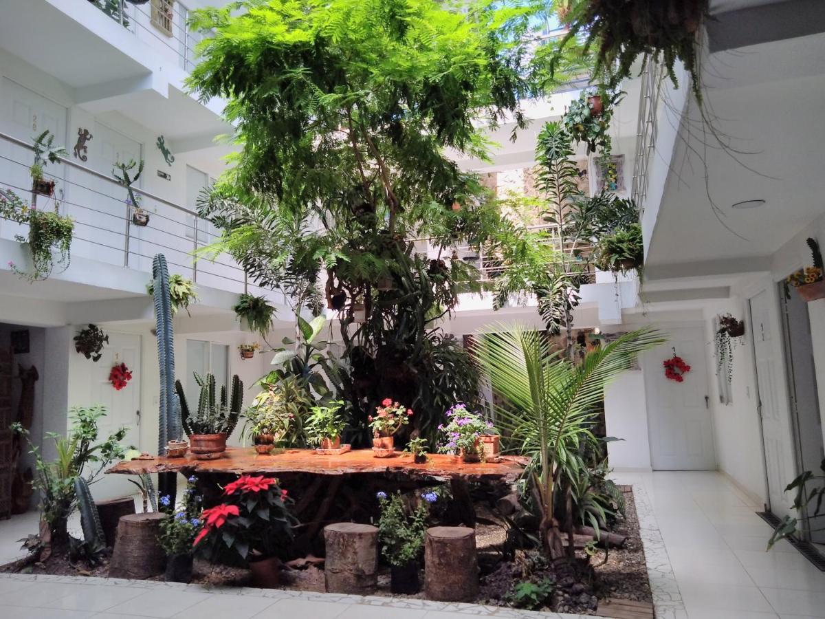 Hotel Boutique Los Remansos 帕尔米拉 外观 照片